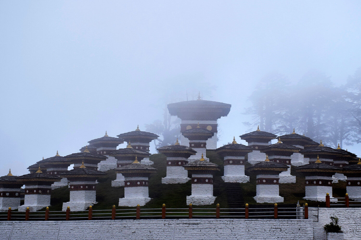 Bhutan: A Winter Escapade with Phobjikha Valley