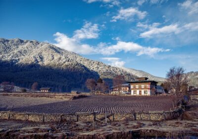 Bhutan’s Phobjikha Valley: A Place Worth Going Extra Miles For